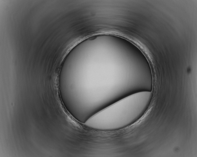 X0000100781001200806191012