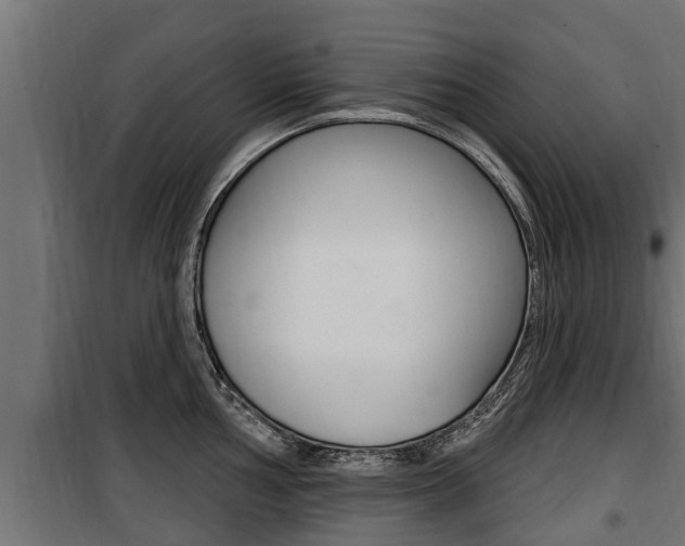 X0000100781002200806191012