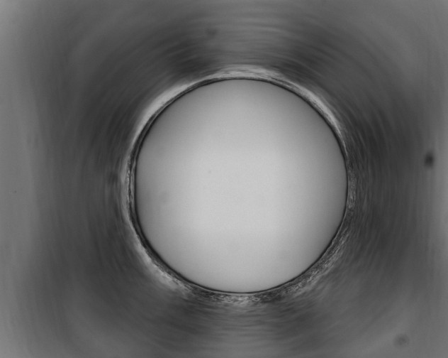 X0000100781003200806191012