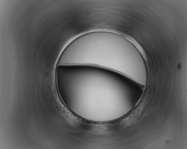 X0000100781004200806191012