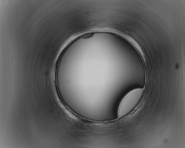 X0000100781005200806191012