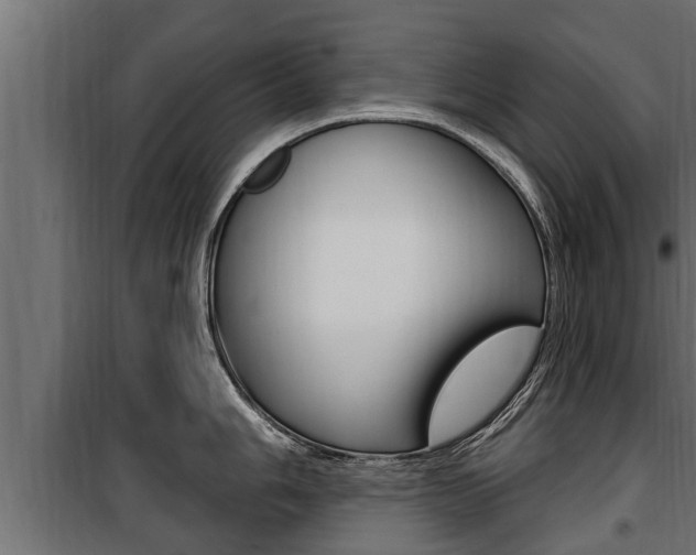 X0000100781006200806191012