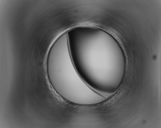 X0000100781008200806191012