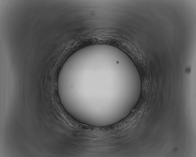 X0000100781009200806191011