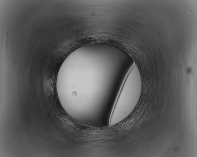 X0000100781010200806191011