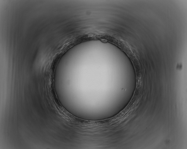 X0000100781012200806191011