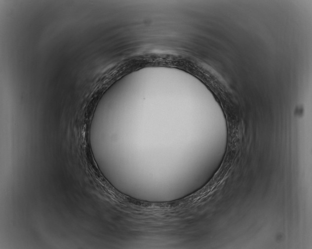 X0000100781013200806191011