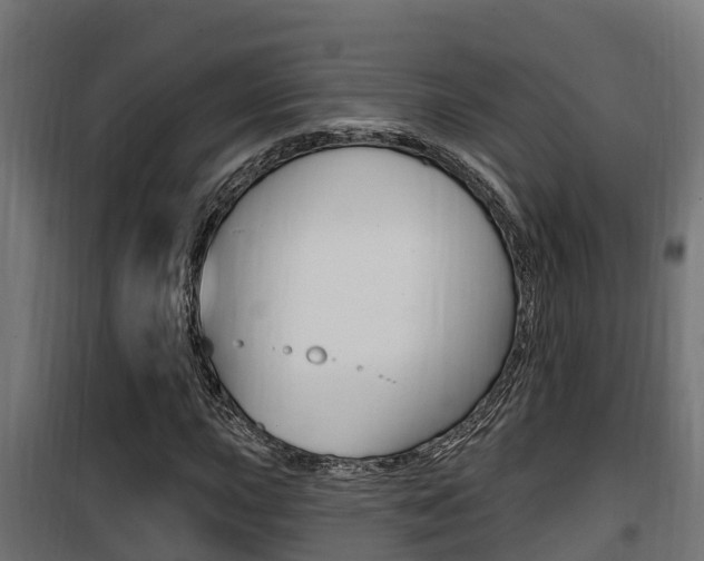 X0000100781015200806191011