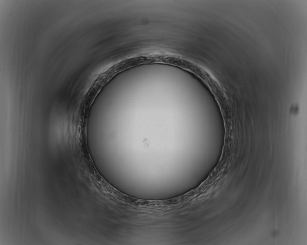 X0000100781016200806191011