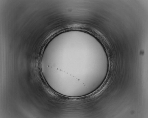 X0000100781017200806191011