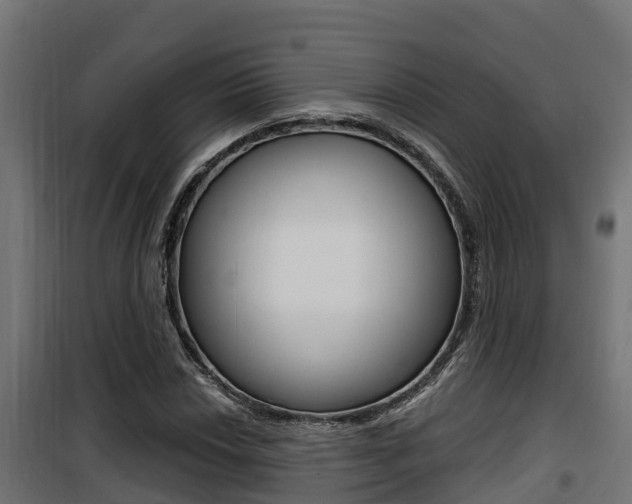 X0000100781018200806191011