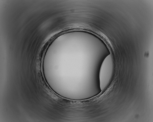 X0000100781019200806191011