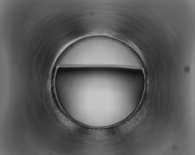 X0000100781020200806191011