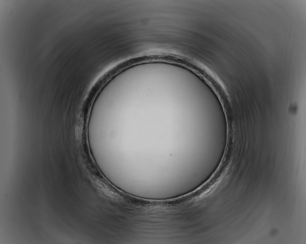 X0000100781021200806191011