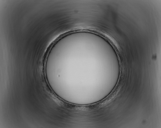 X0000100781023200806191011