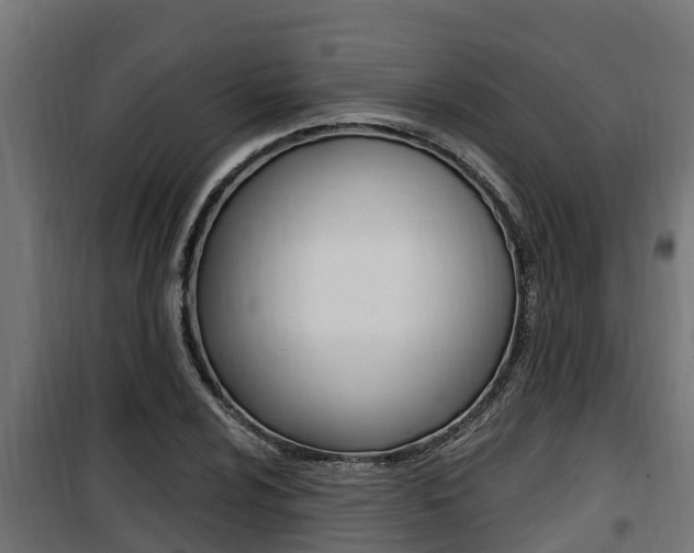 X0000100781024200806191011