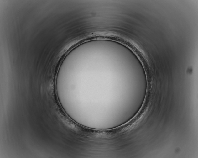 X0000100781025200806191011