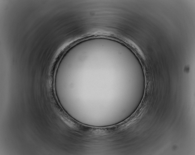 X0000100781027200806191011