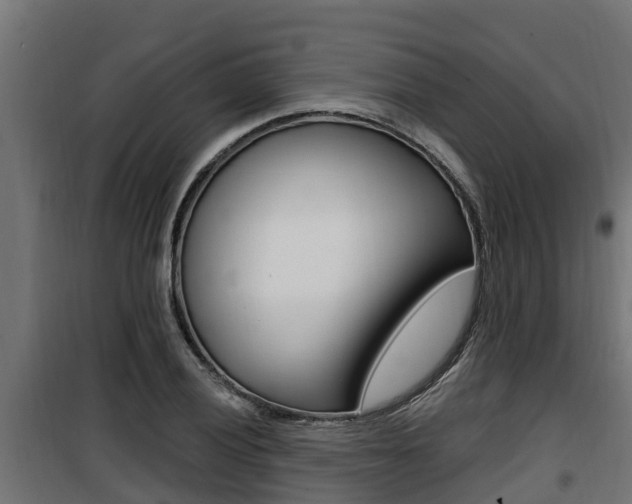 X0000100781028200806191011