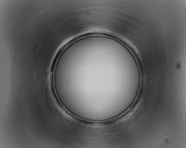 X0000100781029200806191012