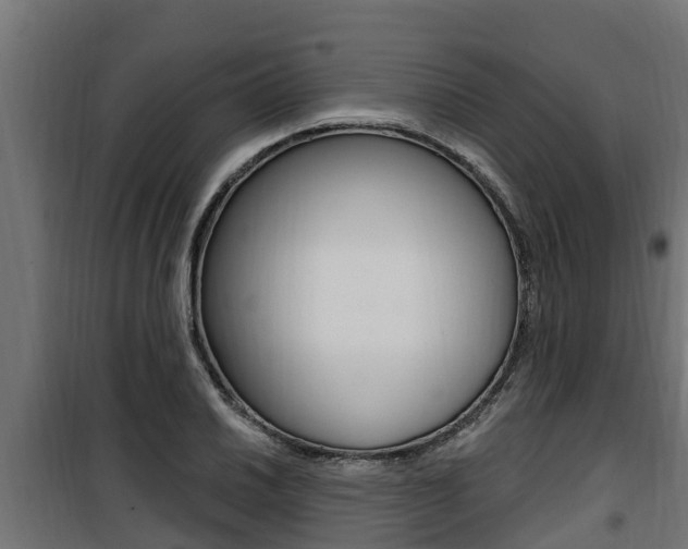 X0000100781030200806191012