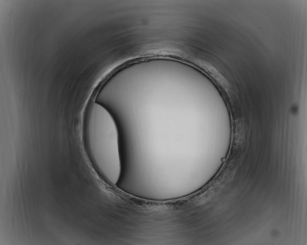 X0000100781031200806191012