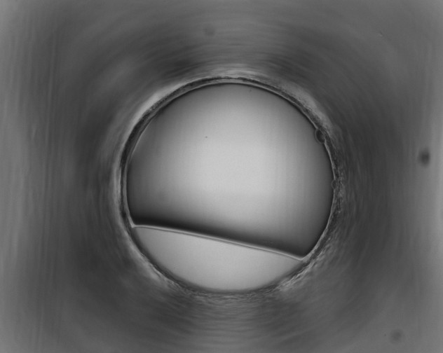 X0000100781032200806191012