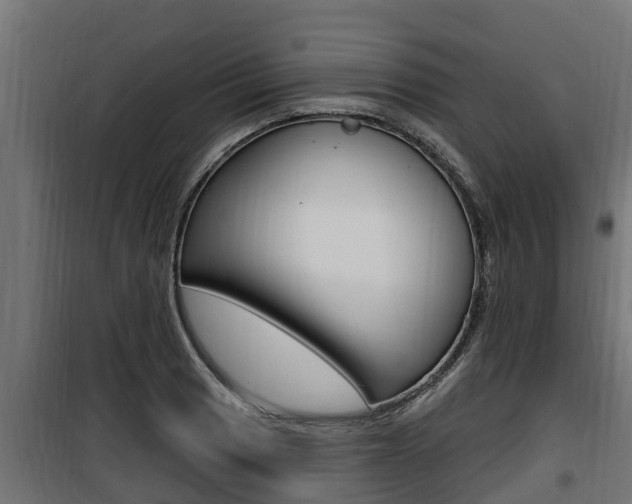 X0000100781033200806191012