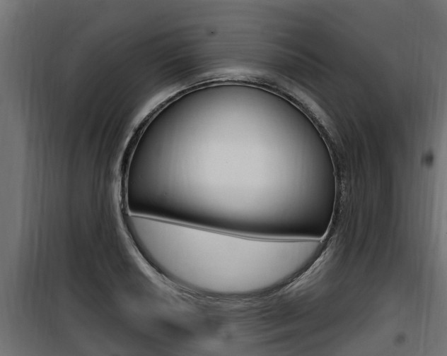 X0000100781034200806191012