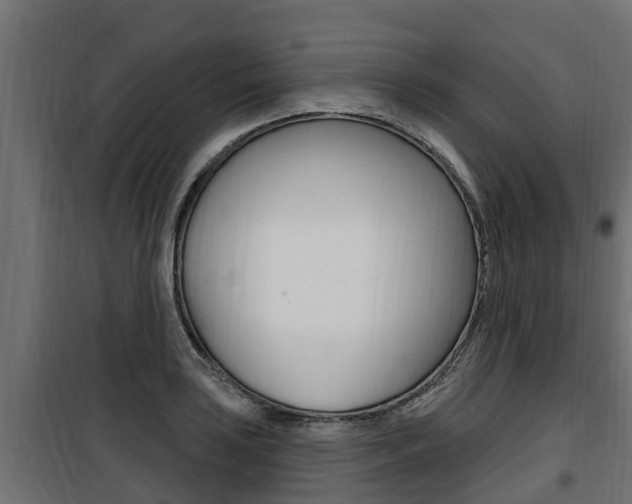 X0000100781035200806191012