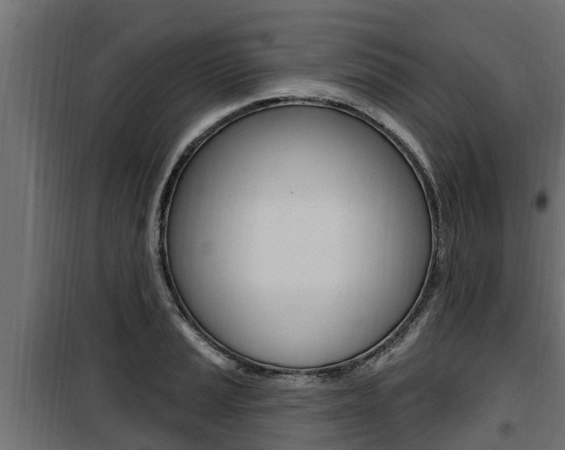 X0000100781037200806191012