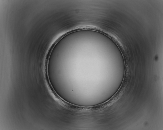 X0000100781038200806191012