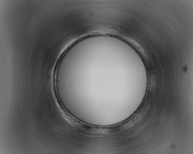 X0000100781039200806191012