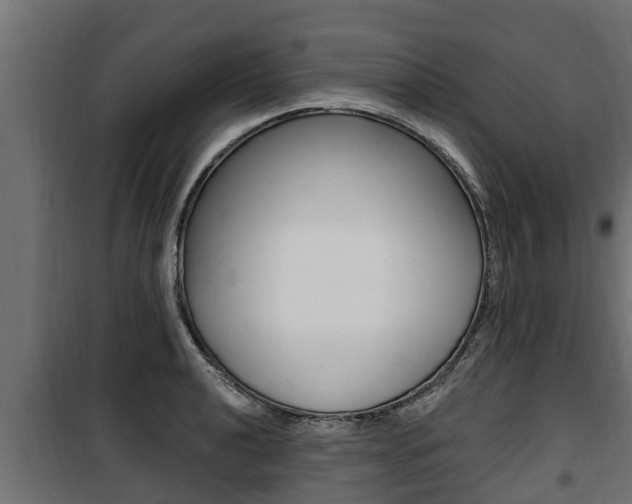 X0000100781040200806191012