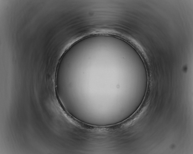 X0000100781041200806191012