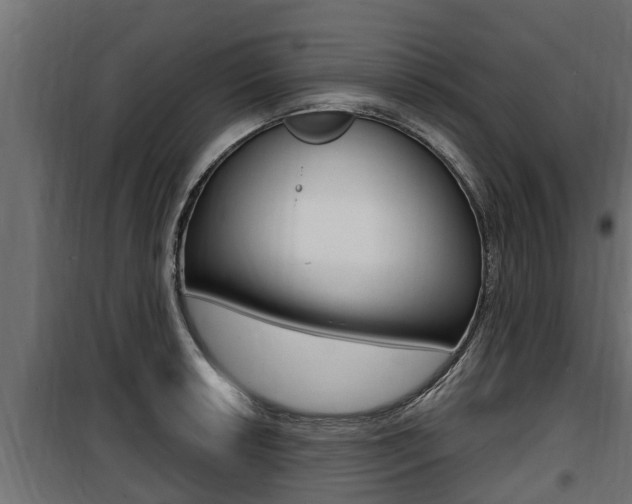 X0000100781042200806191012