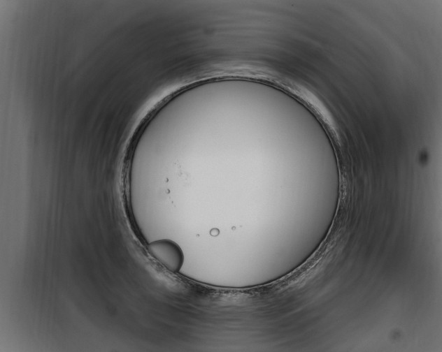 X0000100781043200806191012