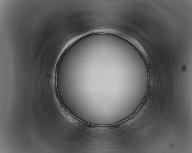 X0000100781044200806191012