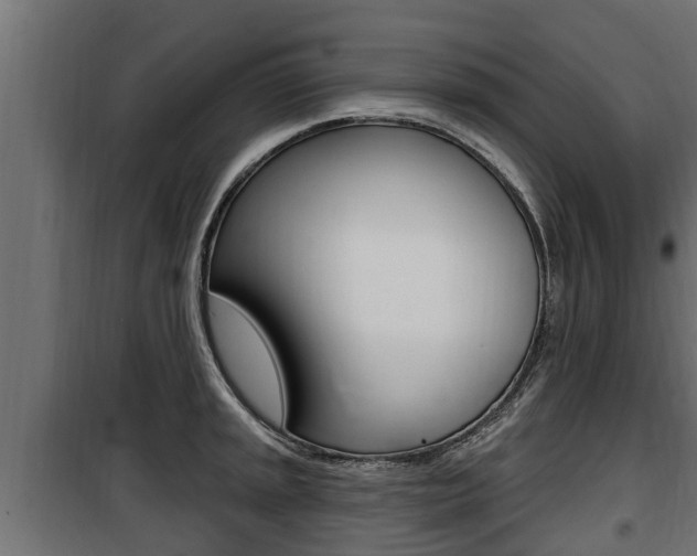 X0000100781045200806191012