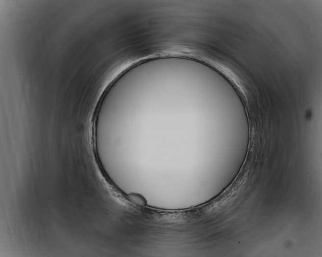 X0000100781047200806191012