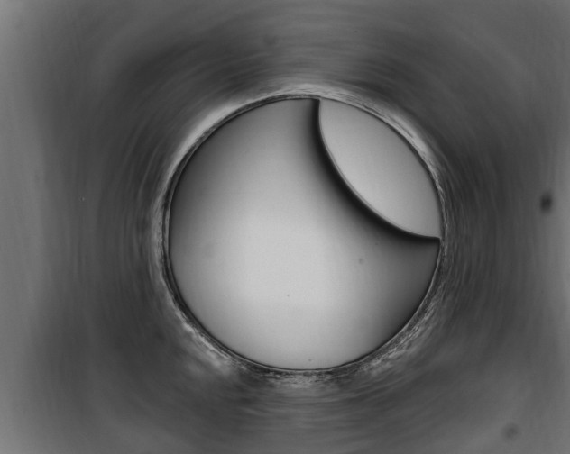 X0000100781048200806191012