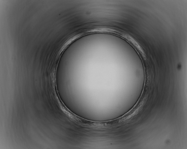 X0000100781049200806191012