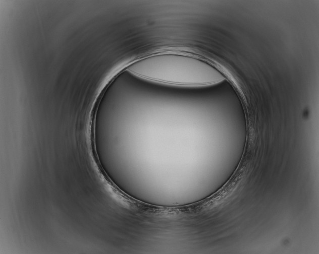 X0000100781050200806191012