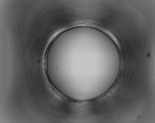 X0000100781051200806191012