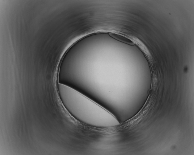 X0000100781052200806191012