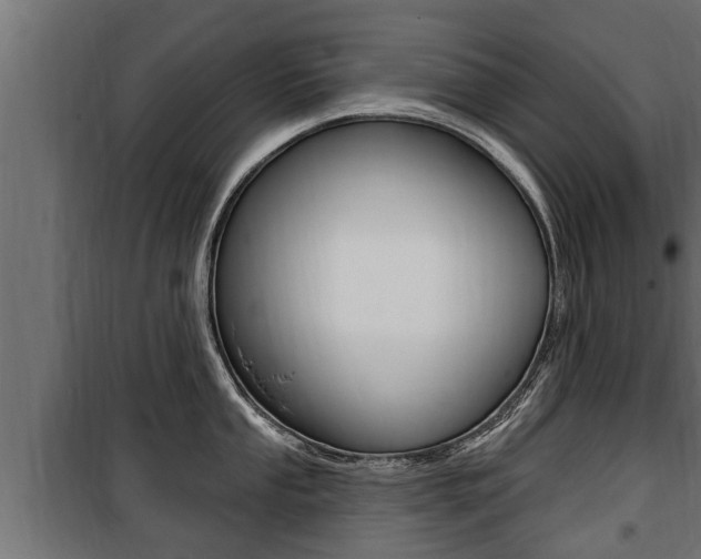 X0000100781053200806191012