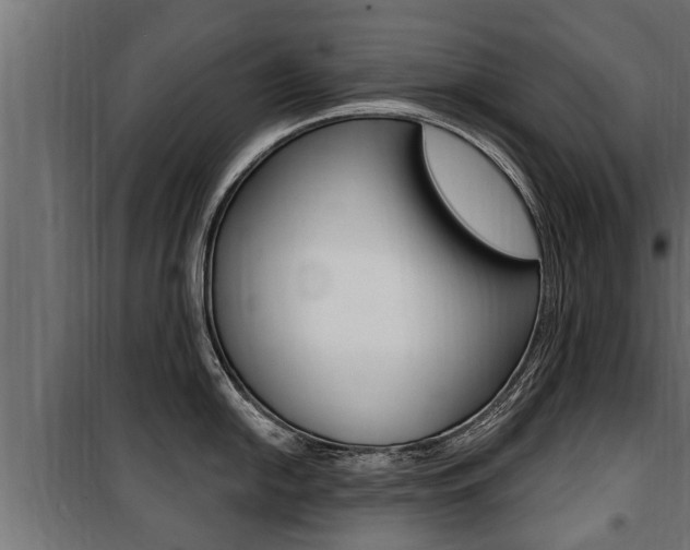 X0000100781054200806191012