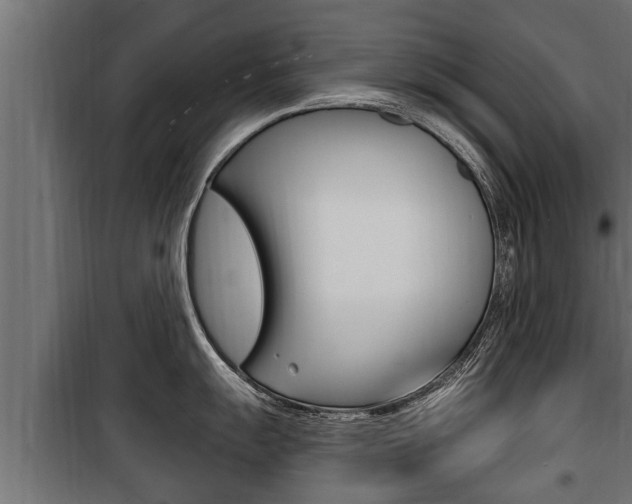 X0000100781055200806191012