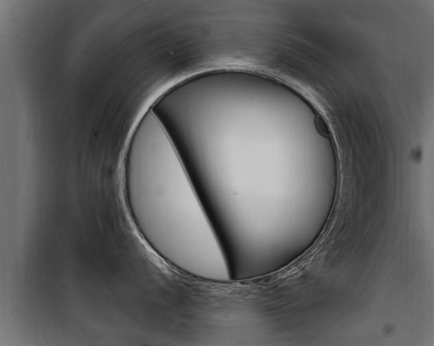 X0000100781056200806191012