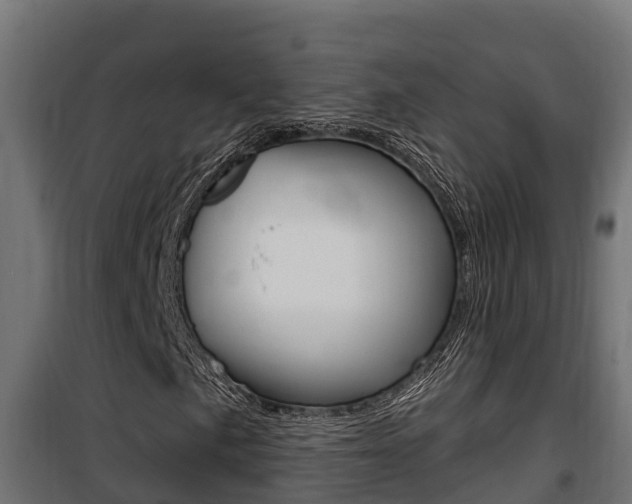 X0000100781057200806191011